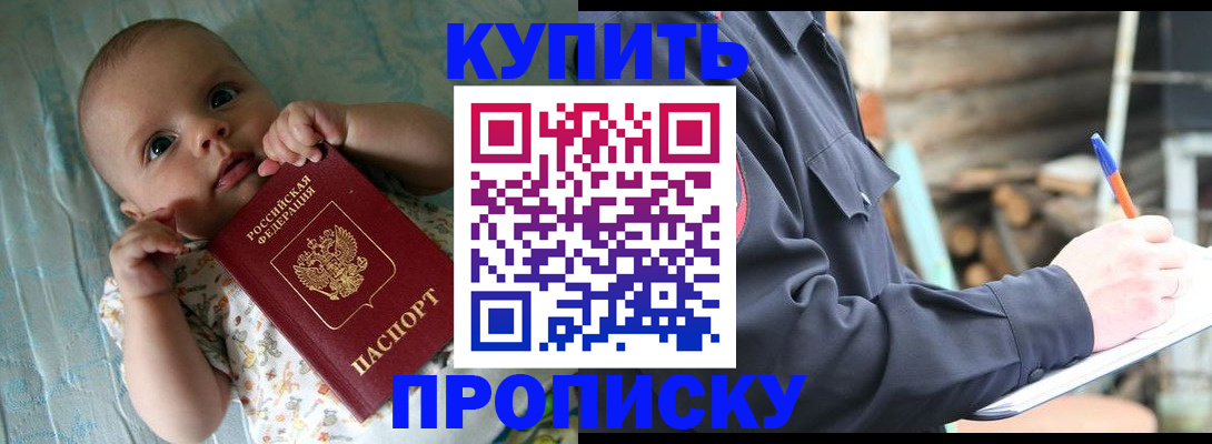 прописка поиск в Павловске