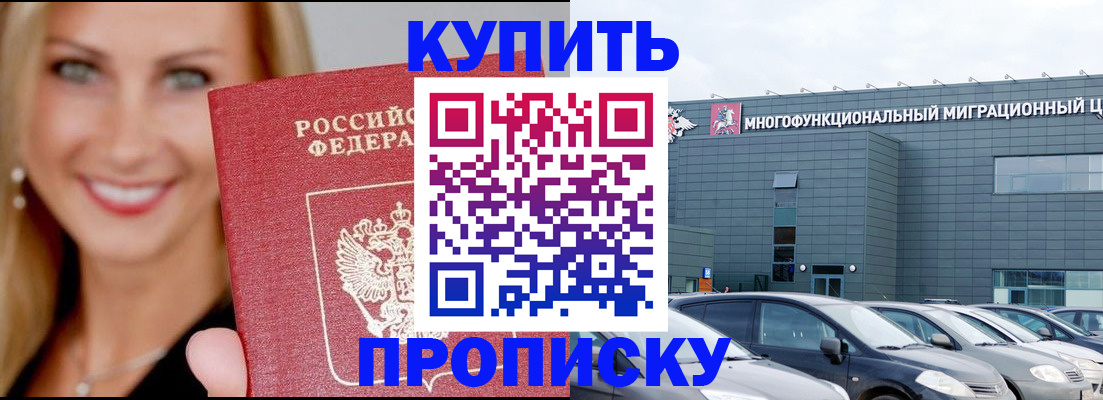 прописка поиск в Павловске
